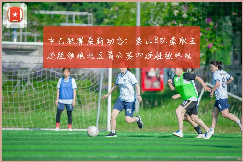 中乙联赛最新动态：泰山B队豪取五连胜领跑北区蒲公英四连胜被终结